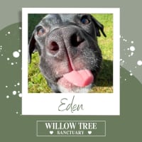 Photo of Eden