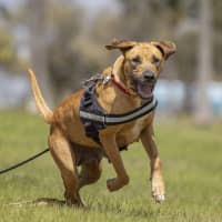 Photo of Dayna (Donya)