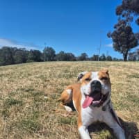 Photo of Yoko Newhaven