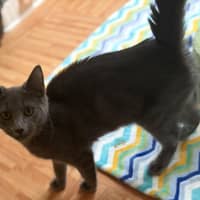 Photo of Rocket