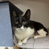 Photo of Dora