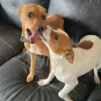 Photo of Trixie And Kayla