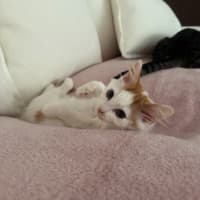 Photo of Bug