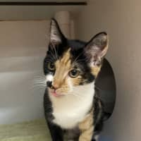 Photo of Ruby