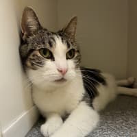 Photo of Wally