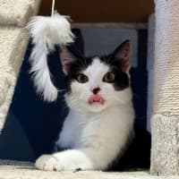 Photo of Panda Scott