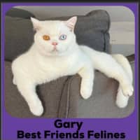 Photo of Gary 