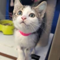 Photo of Milly