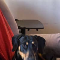 Photo of Tinki