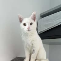 Photo of Percy