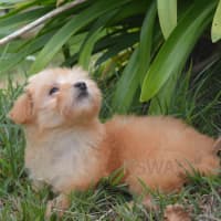 Photo of Matilda