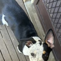 Photo of Jack