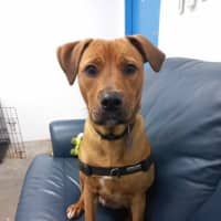 Photo of Marlon