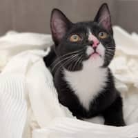 Photo of Crud