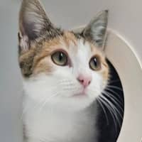 Photo of Mimi