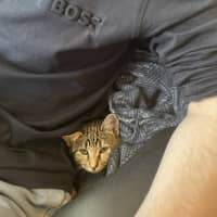 Photo of Ruby
