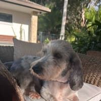 Photo of Rocky