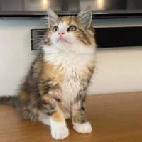 Photo of Hazel