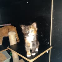 Photo of Purty&Precious