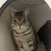 Photo of Lucy