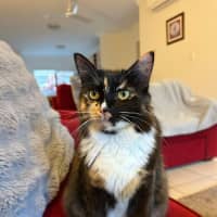 Photo of Willow And Jasper