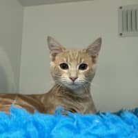Photo of Veuve