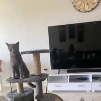 Photo of Nori & Nina