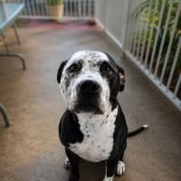 Photo of Zeus
