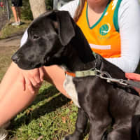 Photo of Coco