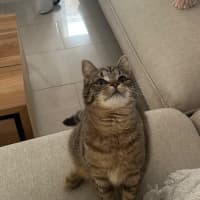 Photo of Peggy