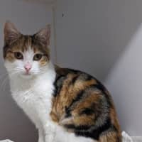 Photo of Tilly