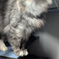 Photo of Narla
