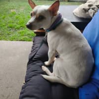 Photo of Jack 