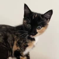 Photo of Lucille 