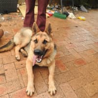 Photo of Odin