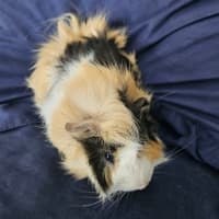 Photo of Charlie