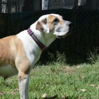 Photo of Katie