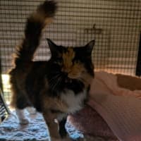 Photo of Buffy