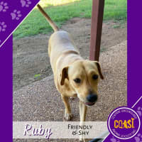 Photo of Ruby