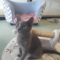 Photo of Slinky