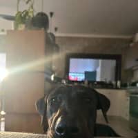 Photo of Sam