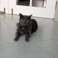 Photo of Teddy