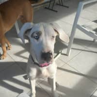 Photo of Ellie
