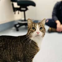 Photo of Tazzie
