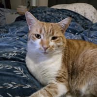 Photo of Spice