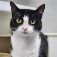 Photo of 🧸 Sora 6923 🧸