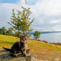 Photo of Holly Bloom