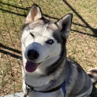 Photo of Freya