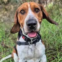 Photo of Detective Bruce