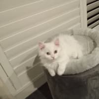 Photo of Harry & Olive